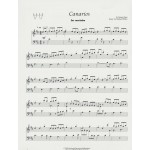 Canarios by Richard Willis