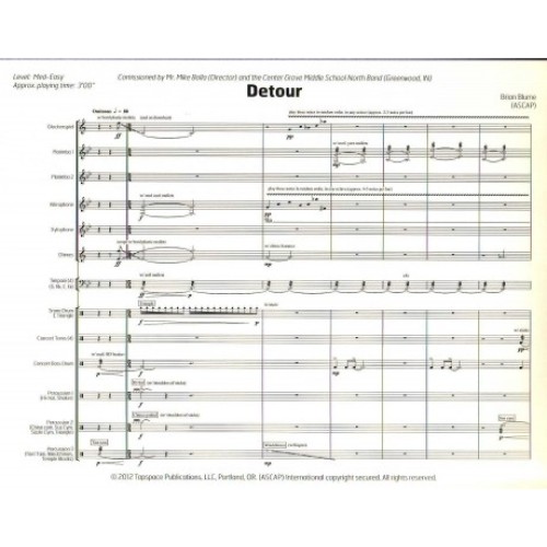Detour by Brian Blume