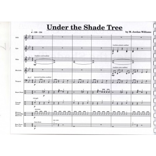 Under the Shade Tree