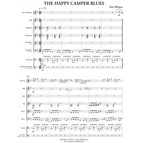 The Happy Camper Blues by Tom Morgan