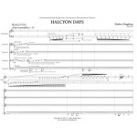Halcyon Days by Nathan Daughtrey