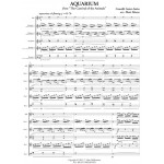 Aquarium from 'Carnival of the Animals' by Saint-Saens arr. Mat Moore