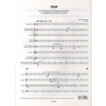 Tepe - A swelling for percussion ensemble