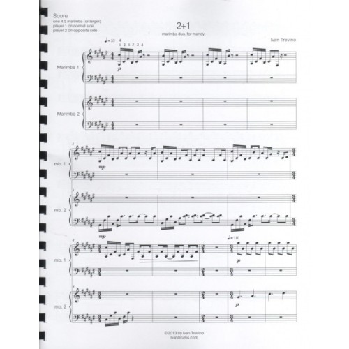 2 + 1 Marimba Duo by Ivan Trevino