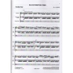 Bach Forever Trio by Yyves Carlin