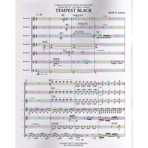 Tempest Black by Keith Larson