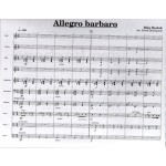 Allegro Barbaro