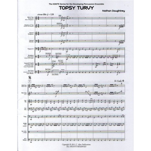 Topsy Turvy by Nathan Daughtrey