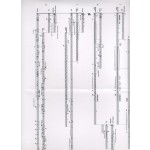 Deux Percussionnistes Et Amplification by Lin-Ni Liao