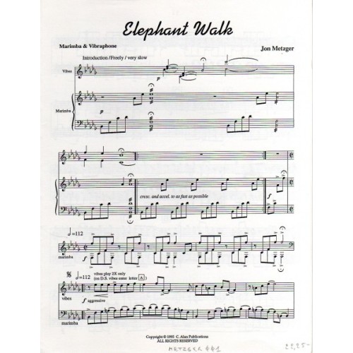 Elephant Walk by Jon Metzger