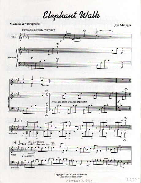 Elephant Walk by Jon Metzger