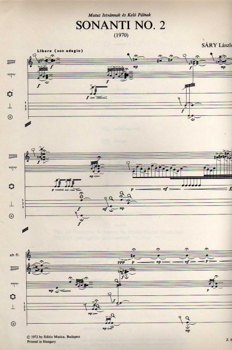 Sonanti No. 2