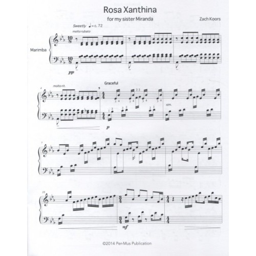 Rosa Xanthina by Zachary Koors